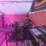 Jonas The Drummer